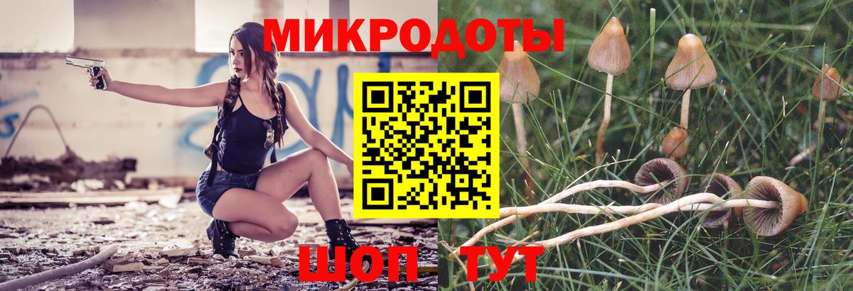 Галлюциногенные грибы Psilocybe  Вход с VPN  Нальчик 